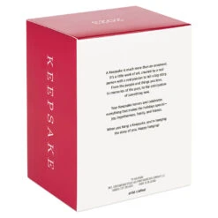 Hallmark Disney Chip And Dale Snow Much Fun! Ornament -Hallmark Sales Store Chip and Dale Chipmunks Sledding Keepsake Ornament 2099QXD6567 05