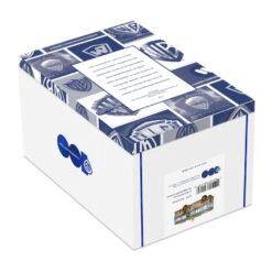 Hallmark National Lampoon's Christmas Vacation™ The RV Glass Ornament -Hallmark Sales Store Christmas Vacation RV Keepsake Ornament 7499QEP3017 05