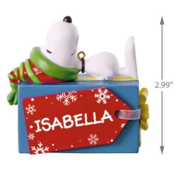 Peanuts® Snoopy Christmas Present Personalized Ornament -Hallmark Sales Store Peanuts Snoopy Christmas Present Personalized Ornament 2499QHE1923B1 03