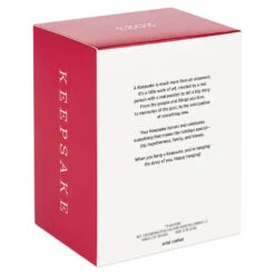 Hallmark Nickelodeon SpongeBob SquarePants Santa Ornament -Hallmark Sales Store SpongeBob Santa Keepsake Ornament 1899QXI7367 05